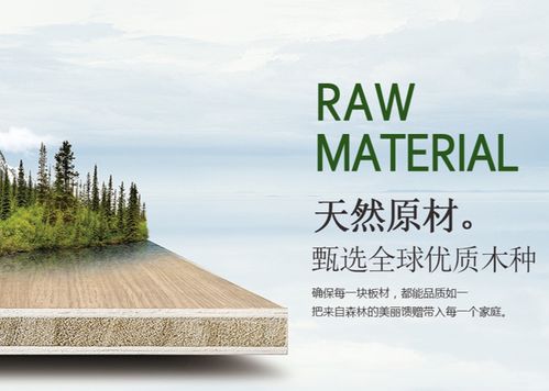 環(huán)保創(chuàng)新雙驅(qū)動，天山板材書寫發(fā)展輝煌新篇