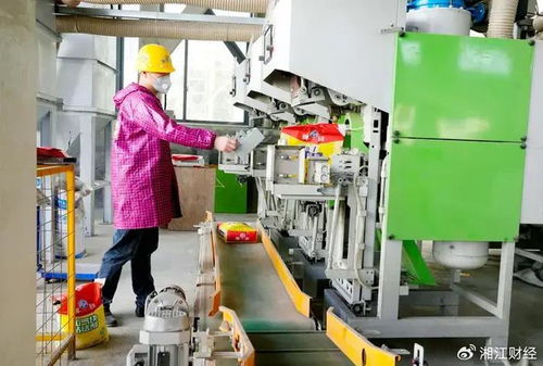 平江首屆貼磚大師技術(shù)交流會(huì)召開，聚焦環(huán)保砂漿技術(shù)開發(fā)與應(yīng)用