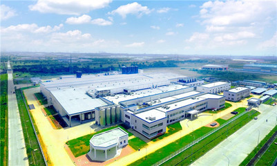 伊利攜手印尼，以科技守護(hù)紅樹林，共筑綠色未來(lái)